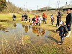 カエル2015 カエル2015