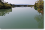 画像の説明 画像の説明